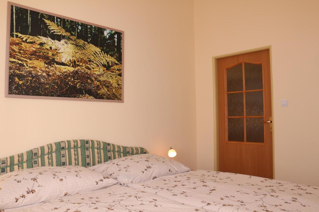 Homely Apartments Villa Christiana Маріанські Лазні Екстер'єр фото