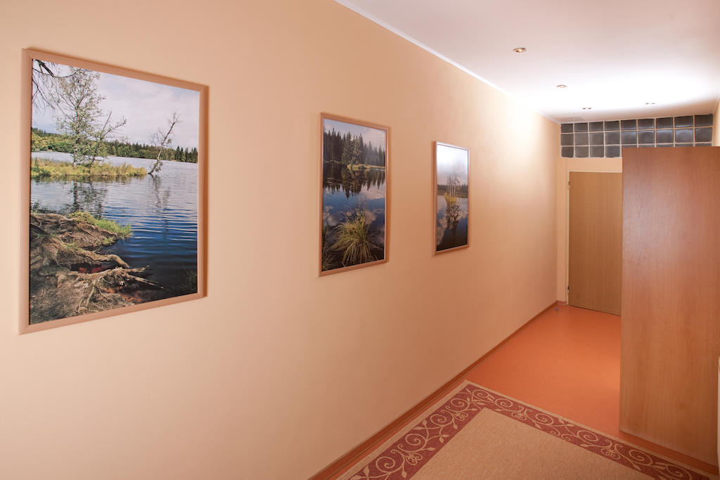 Homely Apartments Villa Christiana Маріанські Лазні Номер фото